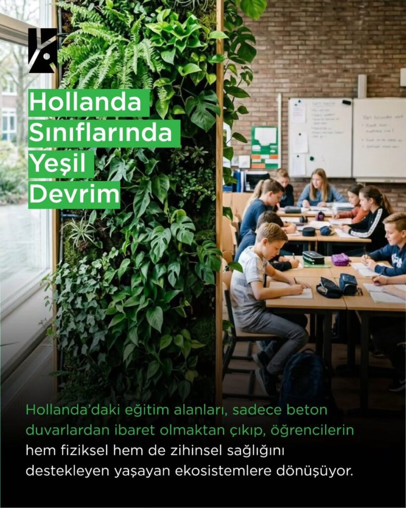 HOLLANDA SINIFLARINDA YEŞİL DEVRİM: BETON DUVARLAR YERİNİ YAŞAYAN EKOSİSTEMLERE BIRAKIYOR hollandadaki eğitim alanları, sadece beton duvarlardan ibaret olmaktan çıkıp, öğrencilerin hem